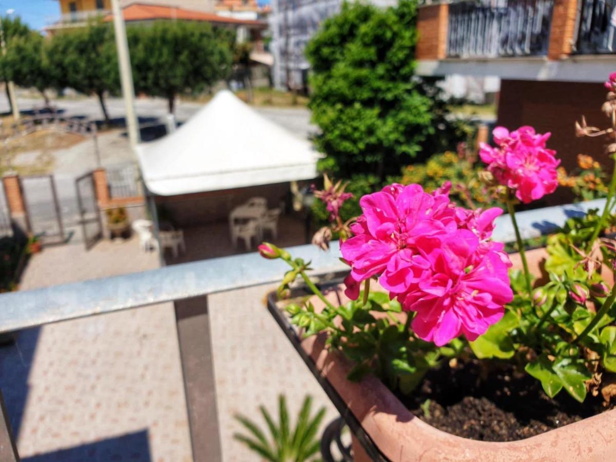 Hotel Ristorante L'avvenire Gizzeria